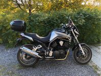 Yamaha bulldog 1100
