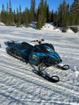 Lynx boondocker 850 3900