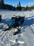Lynx boondocker 850 3900