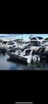 Brig 650 Eagle med Evinrude G2 200 (HO) 2016