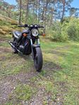 suzuki vx 800 v twin