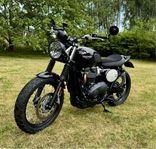 Triumph Scrambler 900