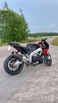Aprilia Tuono V4 1100RR
