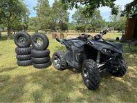 Cectek King Cobra 500 EFI