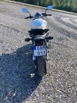 Honda CB600F Hornet