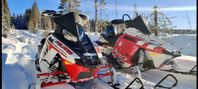 2 st. Polaris Switchback 136" -12 och -13