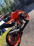 KTM 390 DUKE 2024