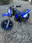 Pw50 