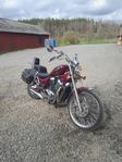 Suzuki Intruder Vs 800