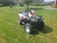 ATV Pioneer QM 250 -06