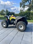 Suzuki LTZ,  90 cc 