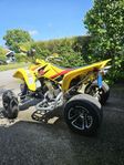 Suzuki Ltz-z Dresel