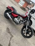Kawasaki en500