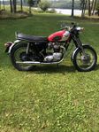 Triumph Bonneville