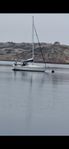 Albin 78 cirrus