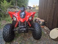 Can-Am DS90