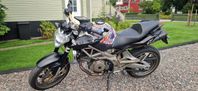 Aprilia Shiver 750