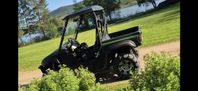 Yamaha Rhino 700cc