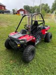 Polaris 150 ACE