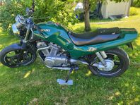 Suzuki VX800 – Café Racer med Stil