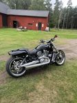 Harley Davidson V Rod Muscle