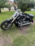 Harley Davidson V Rod Muscle