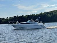 Rinker Fiesta vee 250 -96