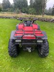 Arctic CAT 300