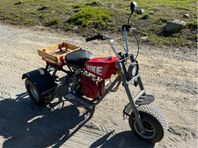 Trike