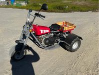 Trike