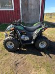 Arctic Cat 90cc
