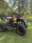 Mini ATV - El -1000w