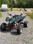 SMC WILDCAT 503 RE