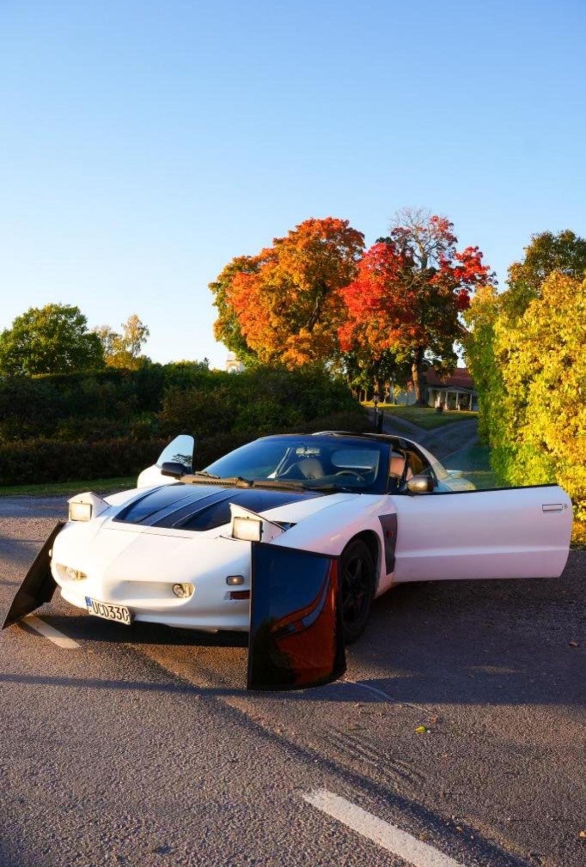Pontiac Firebird 3.4 V6 Manuell, 148hk, 1993