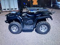 ATV År 2010