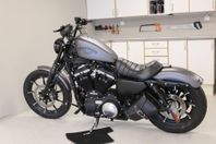 harley davidson Iron 883 