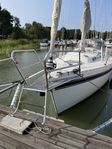 vagabond 31