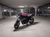 Yamaha FZS6 2000