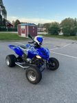 Yamaha Raptor 700R