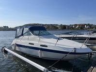SeaRay 230 Sundancer 1996