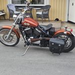 SaVander bobber