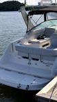 Searay sundancer 240