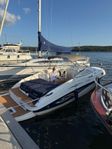 Rinker Captiva 232