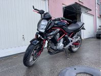 Kawasaki ER-6N