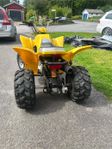 Fyrhjuling 110 cc