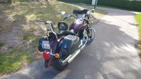 Yamaha XVS 1100a Dragstar