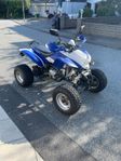 Bashan 250 bad boy vägreggad
