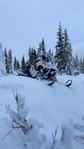 Polaris PRO rmk 800 SKUREN