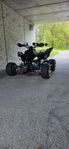 Raptor 700 2007 nybesiktad, påkostad.