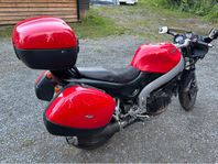 Triump ST Spint 955